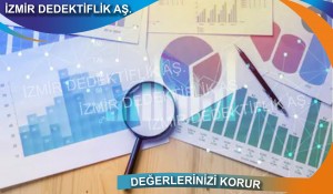 Özel İsteğe Göre Araştırma